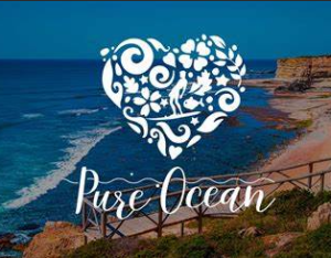 Pure Ocean Surf School (Cosmic Waves, Lda)